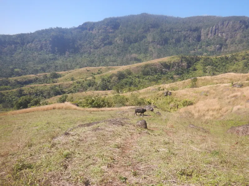 Slopes of Mount Batilamu