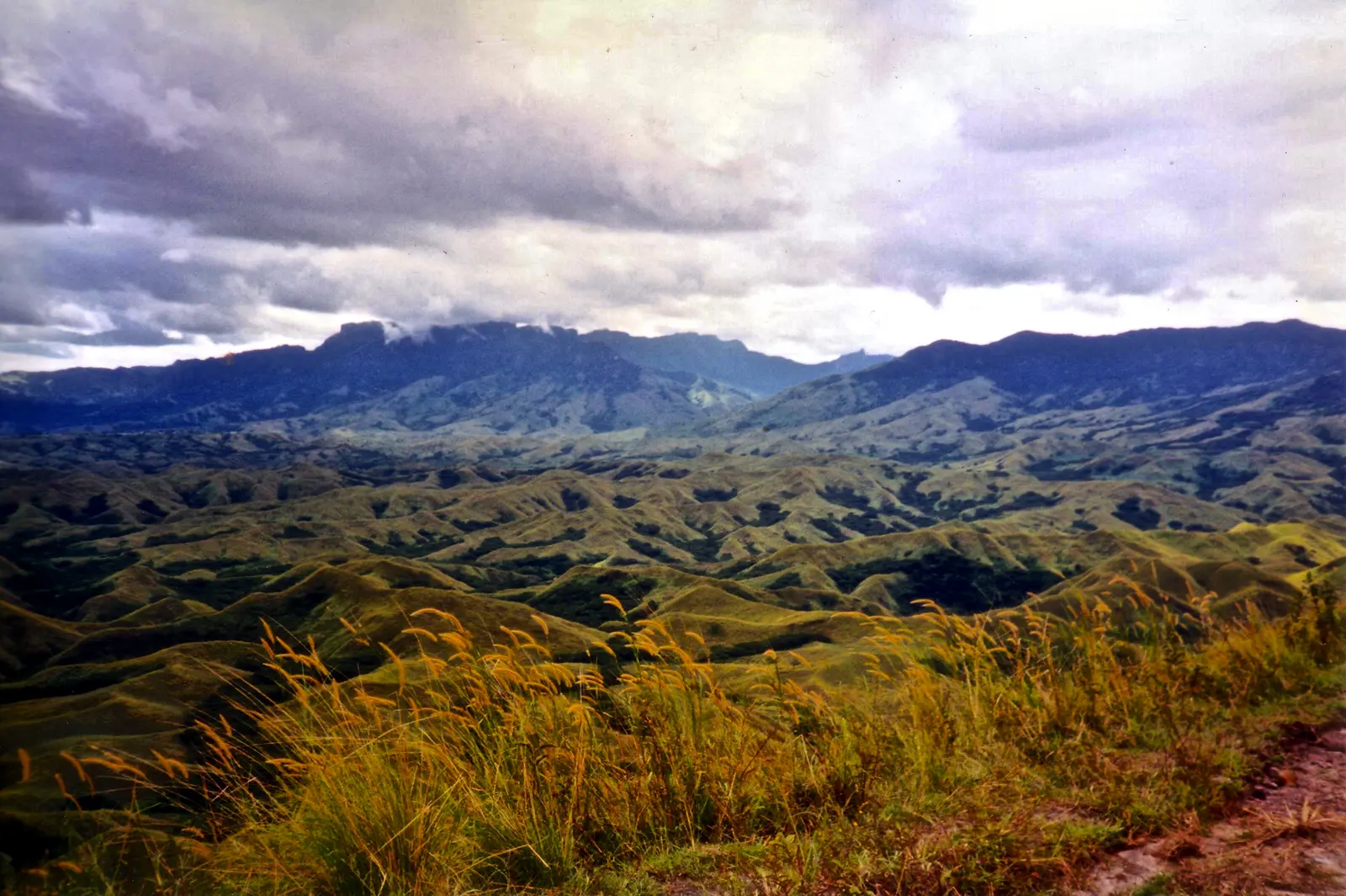 Green hills and valleys of the Nausori Highlands, Viti Levu