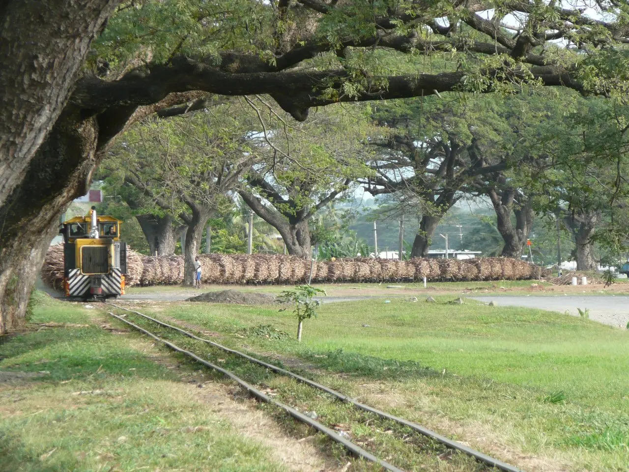 A Fiji sugar cane train arriving at Lautoka with a full load